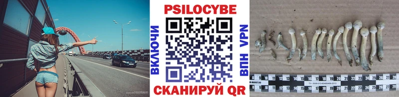 Купить где  Вельск  Галлюциногенные грибы Psilocybe 